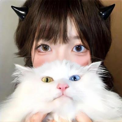 小海龟历险记2